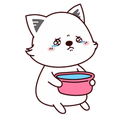 廈門(mén)市裝修裝飾公司_廈門(mén)裝修電話_廈門(mén)裝修電話號(hào)碼查詢