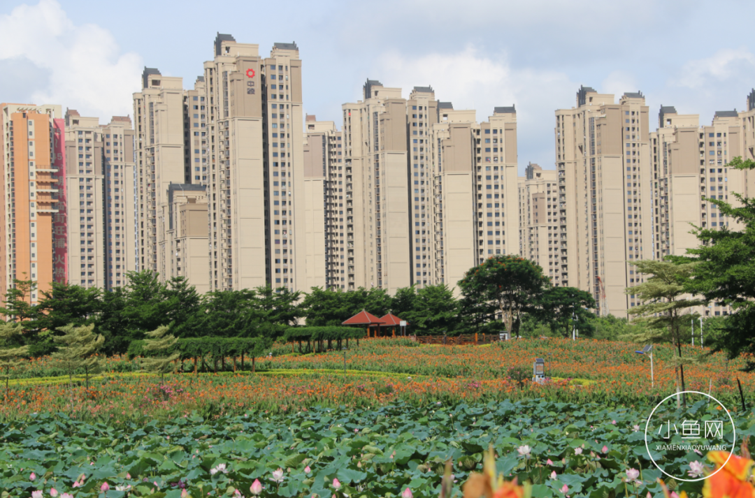 廈門(mén)裝修多少錢(qián)一平方_廈門(mén)裝修噪音擾民投訴電話(huà)_廈門(mén)ktv裝修