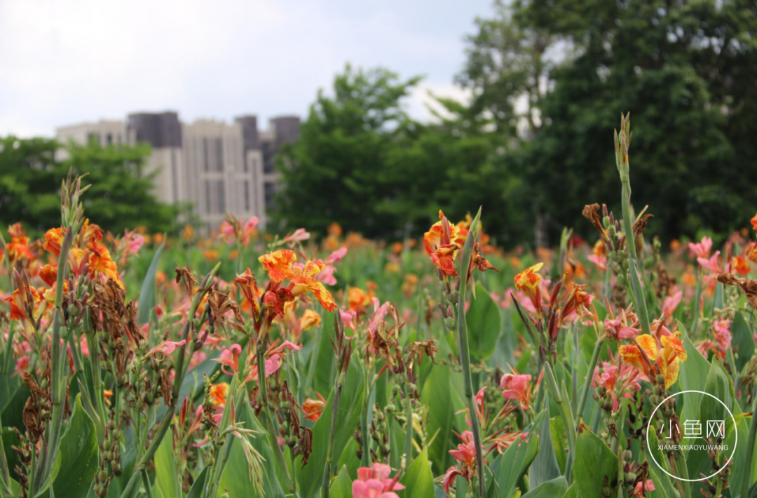 廈門(mén)裝修多少錢(qián)一平方_廈門(mén)裝修噪音擾民投訴電話(huà)_廈門(mén)ktv裝修