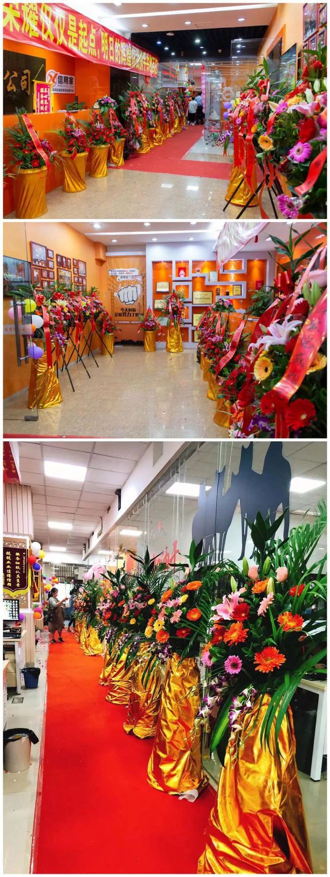 廈門(mén)誠(chéng)信家裝修網(wǎng)_廈門(mén)誠(chéng)信裝飾_廈門(mén)裝修誠(chéng)信家網(wǎng)官網(wǎng)