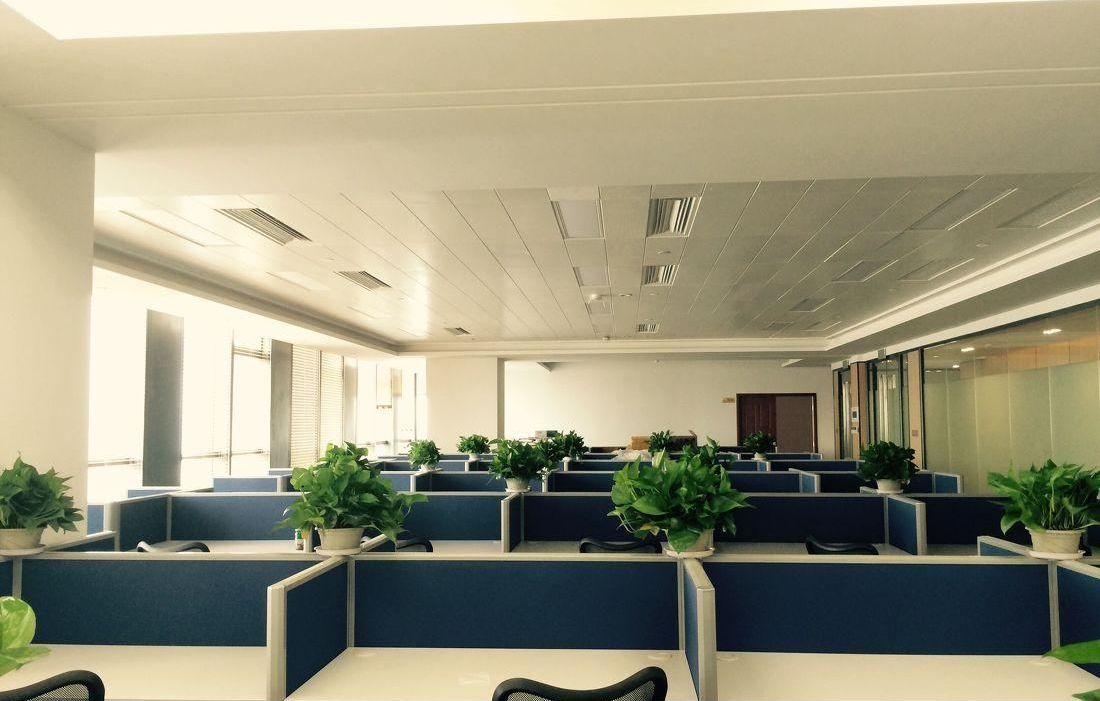 廈門裝修設(shè)計公司排名_廈門裝修設(shè)計公司排名_廈門網(wǎng)絡(luò)優(yōu)化公司排名