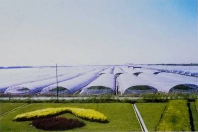 廈門裝修垃圾傾倒點(diǎn)_廈門裝修建筑垃圾怎么處理_廈門裝修垃圾清運(yùn)費(fèi)標(biāo)準(zhǔn)