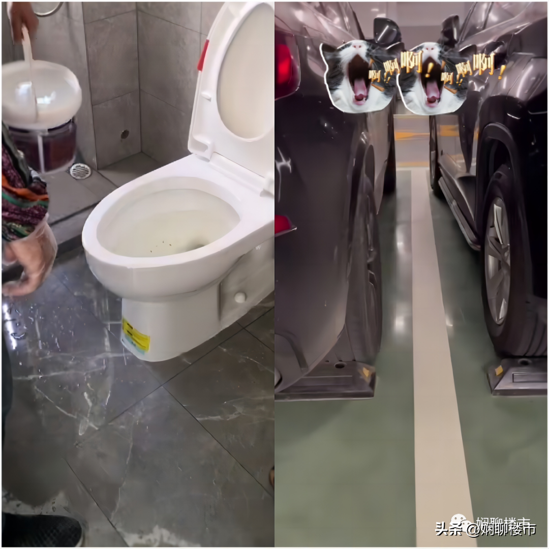 廈門(mén)精裝房政策_(dá)廈門(mén)精裝房裝修_廈門(mén)精裝修樓盤(pán)