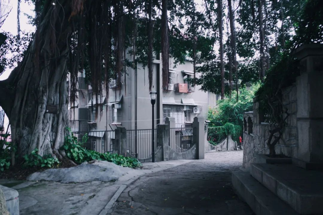 廈門十大裝修_福州龍頭裝修_廈門龍頭裝修