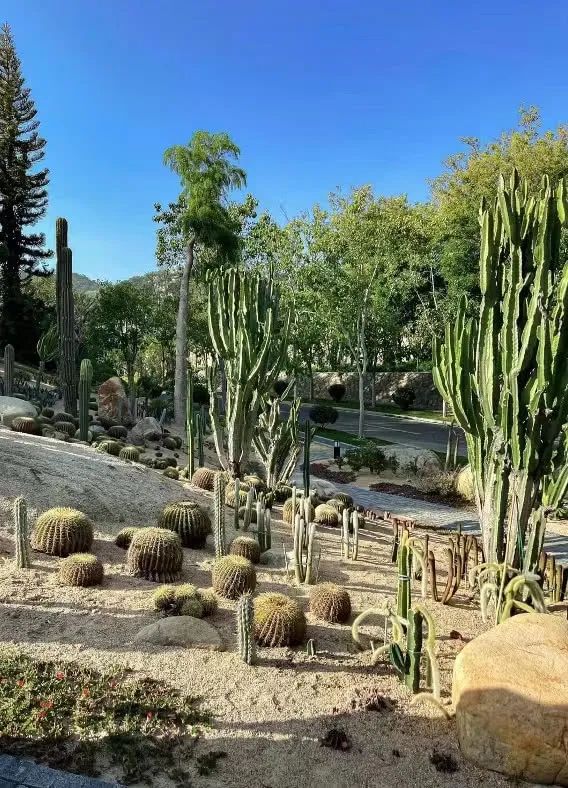 廈門周末裝修_廈門周末裝修投訴電話_廈門周末裝修時間國家規(guī)定