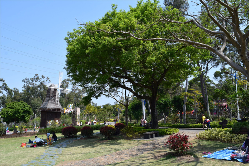 廈門(mén)場(chǎng)地布置_廈門(mén)實(shí)景演出_廈門(mén)場(chǎng)景布置