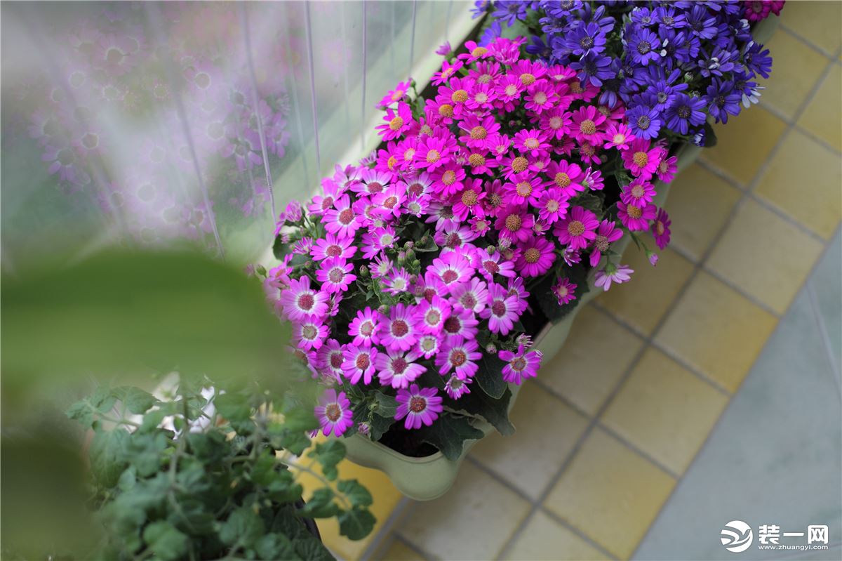 廈門陽(yáng)臺(tái)裝修改造_陽(yáng)臺(tái)改造大概費(fèi)用_想改造一下陽(yáng)臺(tái)得找誰(shuí)