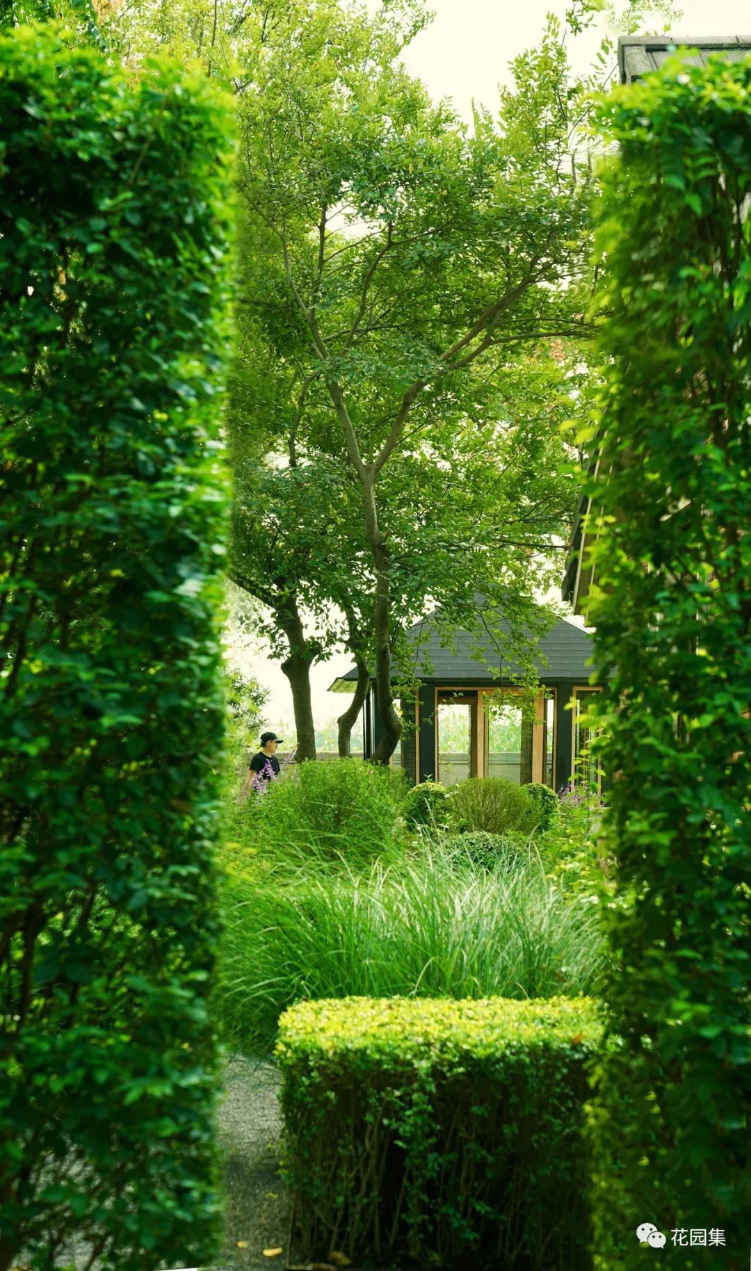 廈門(mén)房子裝修_廈門(mén)房屋裝修_廈門(mén)裝修房屋公司