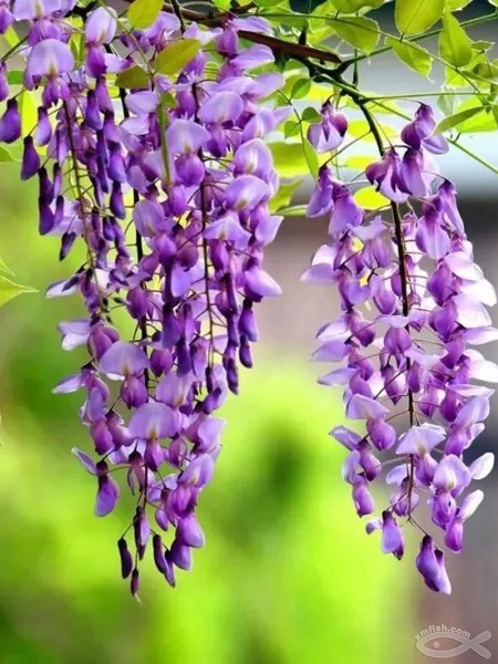 廈門(mén)裝修價(jià)格在線咨詢_廈門(mén)裝修+價(jià)格_廈門(mén)裝修價(jià)格一覽表