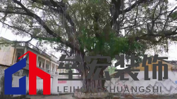 期頤華僑反哺故鄉(xiāng)桑梓情深，“夢改”助力潮州大吳村再綻魅力