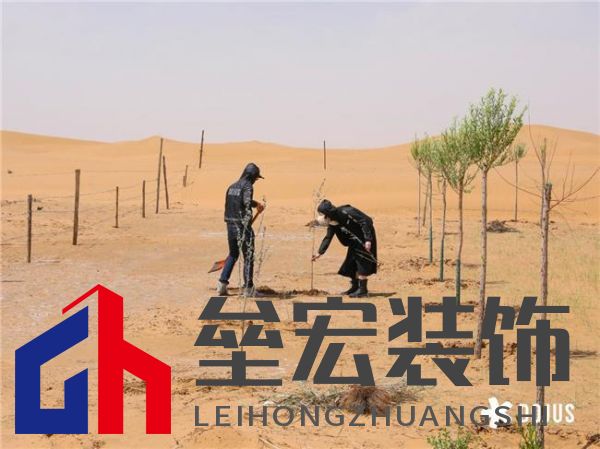 DOJUS 度假式家私：重構(gòu)家居消費場景，定義“日常，就度假”的美學(xué)革命